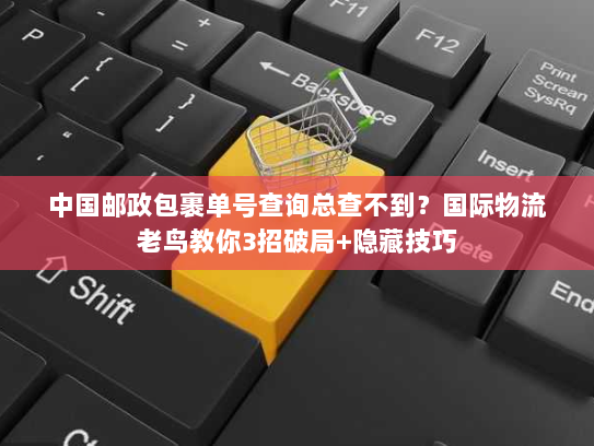 中国邮政包裹单号查询总查不到？国际物流老鸟教你3招破局+隐藏技巧