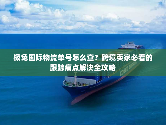 极兔国际物流单号怎么查?跨境卖家必看的跟踪痛点解决全攻略 极兔国际物流单号怎么查?跨境卖家必看的跟踪痛点解决全攻略