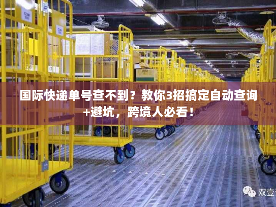 国际快递单号查不到？教你3招搞定自动查询+避坑，跨境人必看！