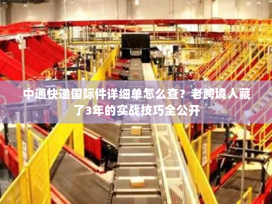 中通快递国际件详细单怎么查？老跨境人藏了3年的实战技巧全公开
