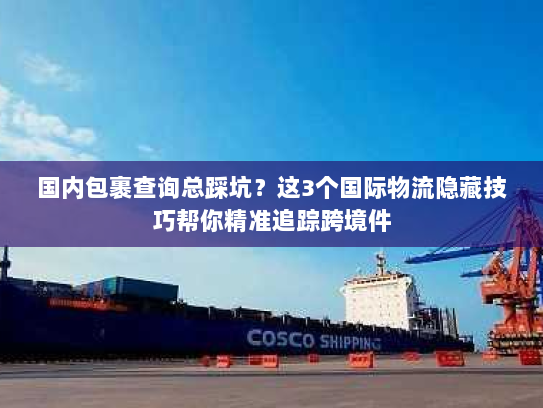 国内包裹查询总踩坑？这3个国际物流隐藏技巧帮你精准追踪跨境件