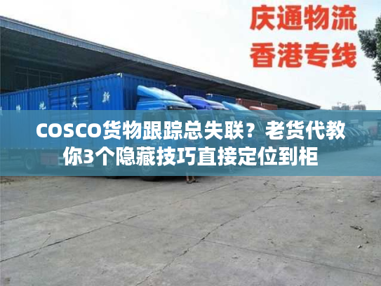 COSCO货物跟踪总失联？老货代教你3个隐藏技巧直接定位到柜