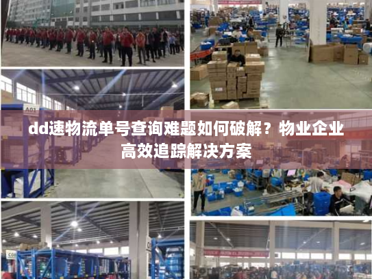 dd速物流单号查询难题如何破解?物业企业高效追踪解决方案 dd速物流单号查询难题如何破解?物业企业高效追踪解决方案