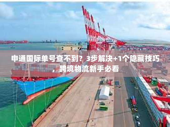 申通国际单号查不到?3步解决+1个隐藏技巧,跨境物流新手必看 申通国际单号查不到?3步解决+1个隐藏技巧,跨境物流新手必看