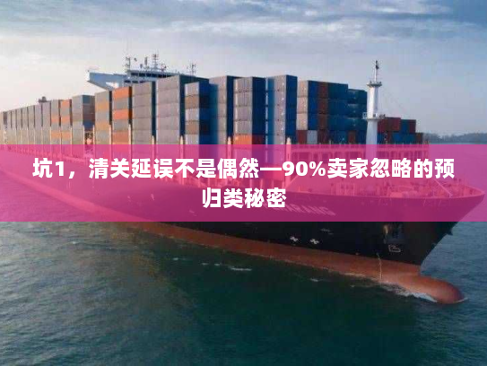 坑1,清关延误不是偶然—90%卖家忽略的预归类秘密 坑1,清关延误不是偶然—90%卖家忽略的预归类秘密