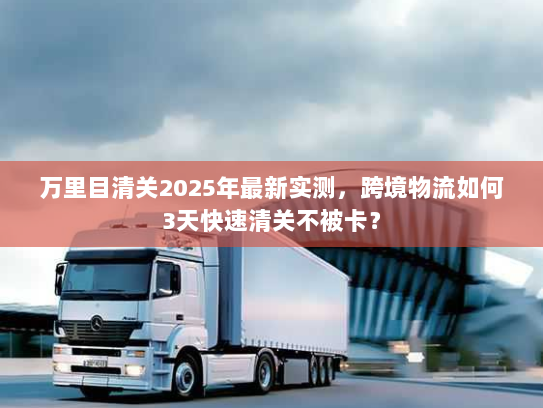 万里目清关2025年最新实测，跨境物流如何3天快速清关不被卡？
