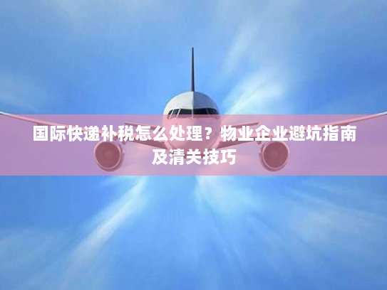 国际快递补税怎么处理?物业企业避坑指南及清关技巧 国际快递补税怎么处理?物业企业避坑指南及清关技巧