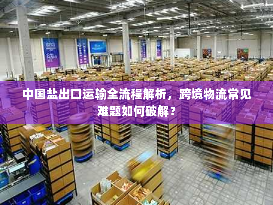中国盐出口运输全流程解析，跨境物流常见难题如何破解？