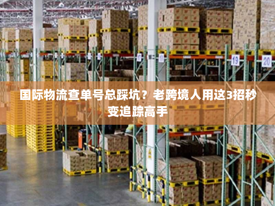 国际物流查单号总踩坑?老跨境人用这3招秒变追踪高手 国际物流查单号总踩坑?老跨境人用这3招秒变追踪高手