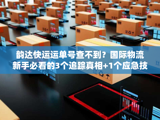 韵达快运运单号查不到？国际物流新手必看的3个追踪真相+1个应急技巧
