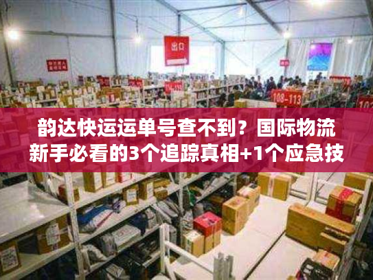 韵达快运运单号查不到？国际物流新手必看的3个追踪真相+1个应急技巧
