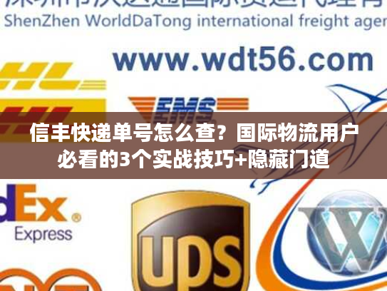 信丰快递单号怎么查?国际物流用户必看的3个实战技巧+隐藏门道 信丰快递单号怎么查?国际物流用户必看的3个实战技巧+隐藏门道