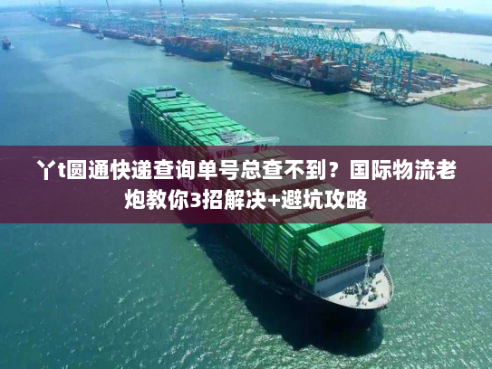 丫t圆通快递查询单号总查不到?国际物流老炮教你3招解决+避坑攻略 丫t圆通快递查询单号总查不到?国际物流老炮教你3招解决+避坑攻略