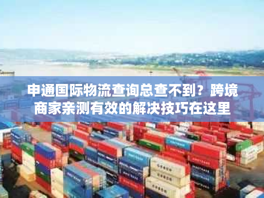 申通国际物流查询总查不到？跨境商家亲测有效的解决技巧在这里