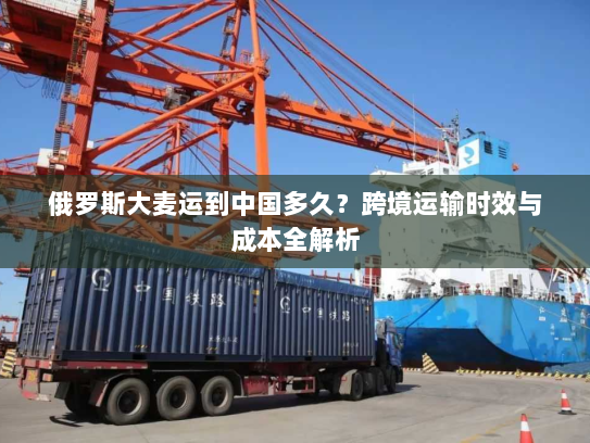 俄罗斯大麦运到中国多久?跨境运输时效与成本全解析 俄罗斯大麦运到中国多久?跨境运输时效与成本全解析