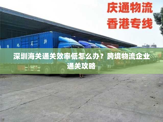 深圳海关通关效率低怎么办?跨境物流企业通关攻略 深圳海关通关效率低怎么办?跨境物流企业通关攻略
