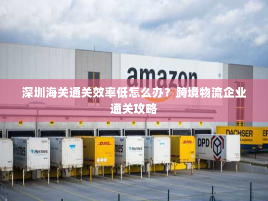 深圳海关通关效率低怎么办?跨境物流企业通关攻略 深圳海关通关效率低怎么办?跨境物流企业通关攻略