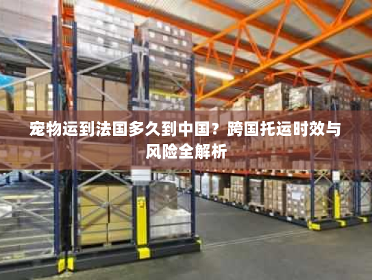宠物运到法国多久到中国?跨国托运时效与风险全解析 宠物运到法国多久到中国?跨国托运时效与风险全解析