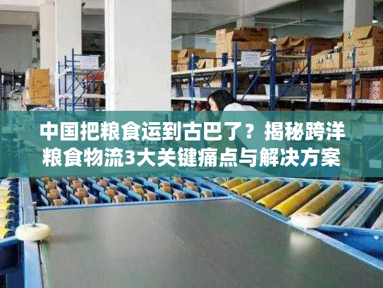 中国把粮食运到古巴了？揭秘跨洋粮食物流3大关键痛点与解决方案