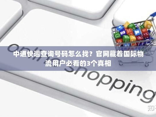 中通快运查询号码怎么找?官网藏着国际物流用户必看的3个真相 中通快运查询号码怎么找?官网藏着国际物流用户必看的3个真相