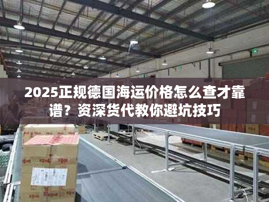 2025正规德国海运价格怎么查才靠谱？资深货代教你避坑技巧