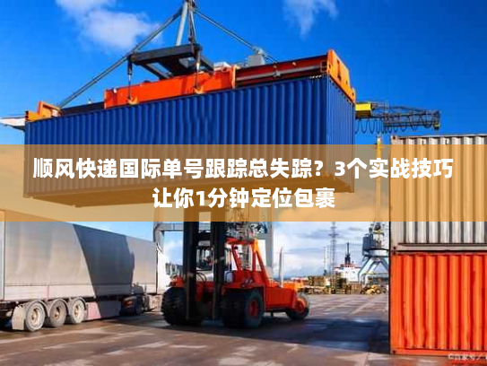 顺风快递国际单号跟踪总失踪？3个实战技巧让你1分钟定位包裹
