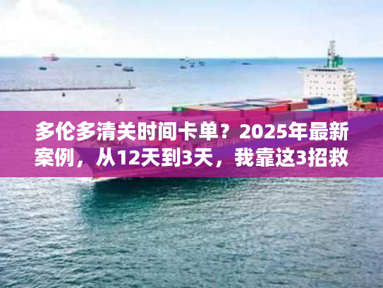 多伦多清关时间卡单？2025年最新案例，从12天到3天，我靠这3招救了订单！