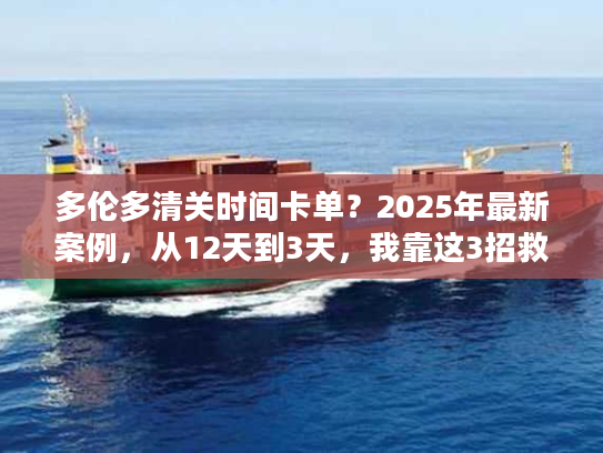 多伦多清关时间卡单？2025年最新案例，从12天到3天，我靠这3招救了订单！