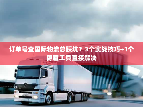 订单号查国际物流总踩坑？3个实战技巧+1个隐藏工具直接解决