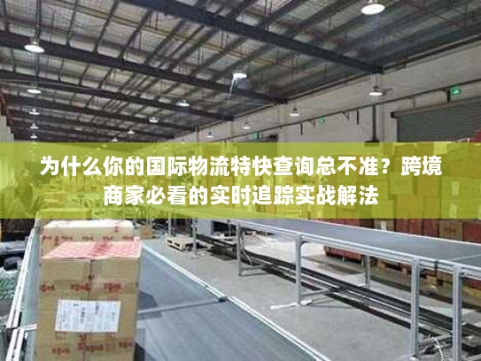 为什么你的国际物流特快查询总不准？跨境商家必看的实时追踪实战解法