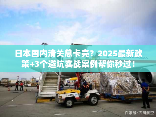 日本国内清关总卡壳？2025最新政策+3个避坑实战案例帮你秒过！