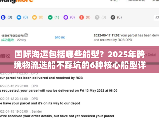 国际海运包括哪些船型？2025年跨境物流选船不踩坑的6种核心船型详解