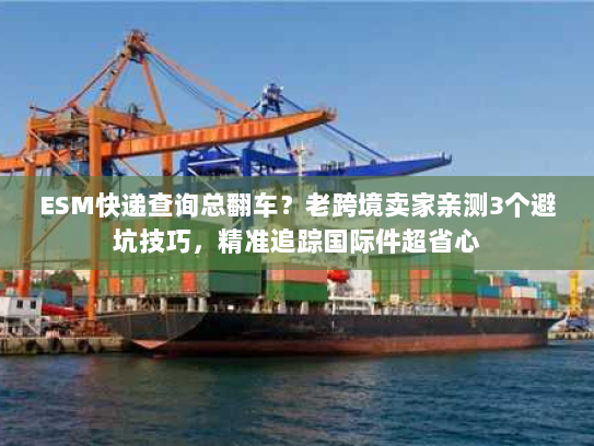 ESM快递查询总翻车？老跨境卖家亲测3个避坑技巧，精准追踪国际件超省心