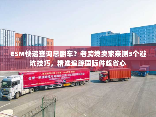 ESM快递查询总翻车？老跨境卖家亲测3个避坑技巧，精准追踪国际件超省心