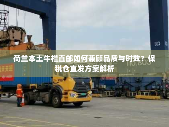 荷兰本土牛栏直邮如何兼顾品质与时效?保税仓直发方案解析 荷兰本土牛栏直邮如何兼顾品质与时效?保税仓直发方案解析