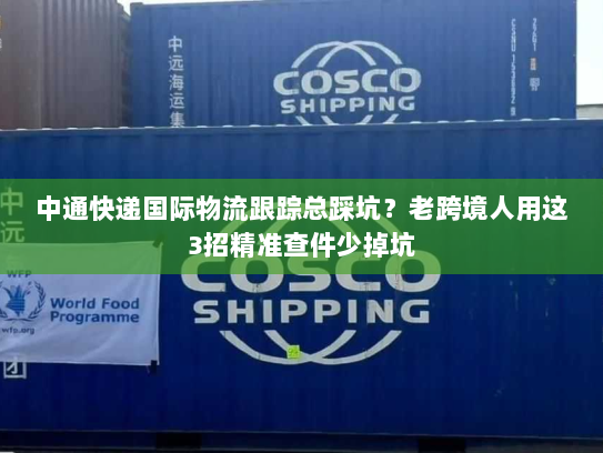 中通快递国际物流跟踪总踩坑？老跨境人用这3招精准查件少掉坑