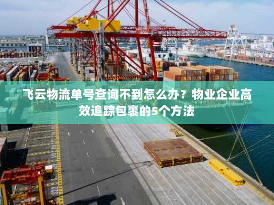 飞云物流单号查询不到怎么办?物业企业高效追踪包裹的5个方法 飞云物流单号查询不到怎么办?物业企业高效追踪包裹的5个方法