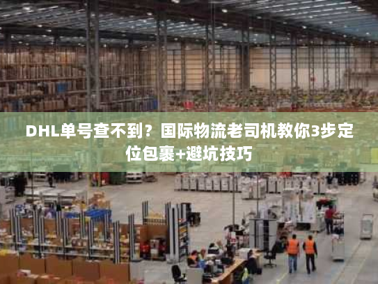 DHL单号查不到？国际物流老司机教你3步定位包裹+避坑技巧