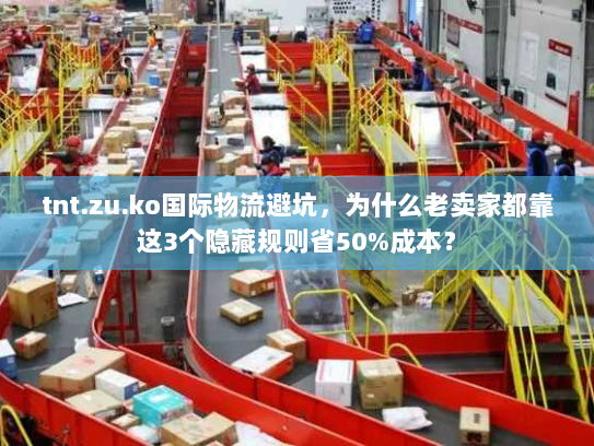 tnt.zu.ko国际物流避坑,为什么老卖家都靠这3个隐藏规则省50%成本? tnt.zu.ko国际物流避坑,为什么老卖家都靠这3个隐藏规则省50%成本?