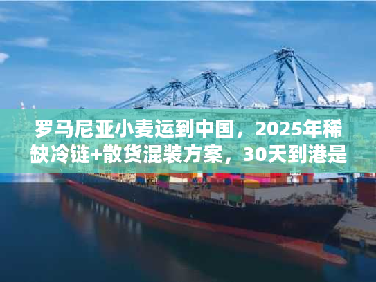 罗马尼亚小麦运到中国,2025年稀缺冷链+散货混装方案,30天到港是真的吗? 罗马尼亚小麦运到中国,2025年稀缺冷链+散货混装方案,30天到港是真的吗?