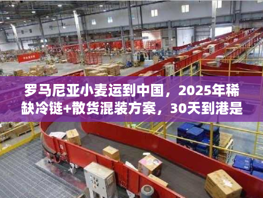 罗马尼亚小麦运到中国,2025年稀缺冷链+散货混装方案,30天到港是真的吗? 罗马尼亚小麦运到中国,2025年稀缺冷链+散货混装方案,30天到港是真的吗?