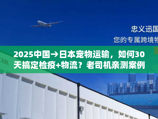 2025中国→日本宠物运输，如何30天搞定检疫+物流？老司机亲测案例独家曝光