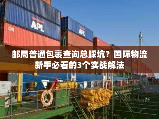 邮局普通包裹查询总踩坑？国际物流新手必看的3个实战解法