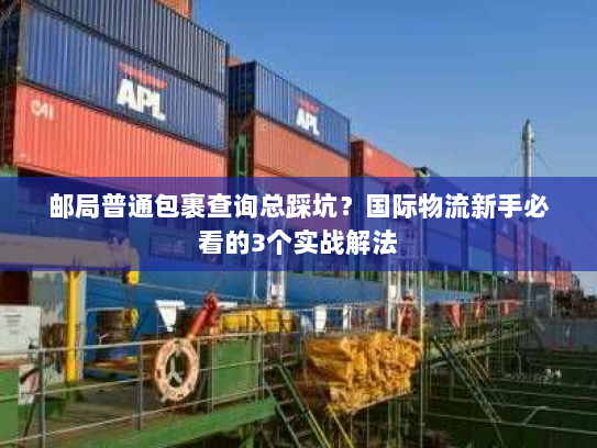 邮局普通包裹查询总踩坑？国际物流新手必看的3个实战解法