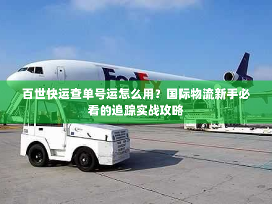百世快运查单号运怎么用?国际物流新手必看的追踪实战攻略 百世快运查单号运怎么用?国际物流新手必看的追踪实战攻略