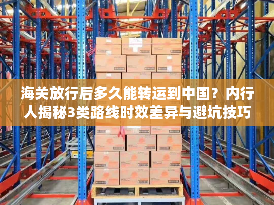 海关放行后多久能转运到中国？内行人揭秘3类路线时效差异与避坑技巧