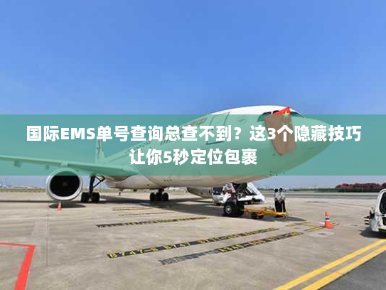 国际EMS单号查询总查不到？这3个隐藏技巧让你5秒定位包裹