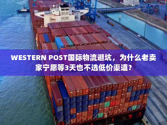 WESTERN POST国际物流避坑，为什么老卖家宁愿等3天也不选低价渠道？