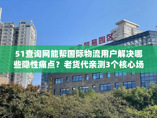 51查询网能帮国际物流用户解决哪些隐性痛点?老货代亲测3个核心场景 51查询网能帮国际物流用户解决哪些隐性痛点?老货代亲测3个核心场景