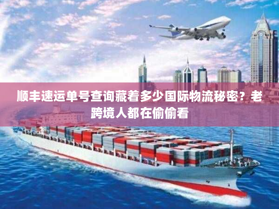 顺丰速运单号查询藏着多少国际物流秘密？老跨境人都在偷偷看